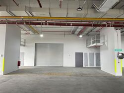 Ct Foodnex (D25), Factory #568716741